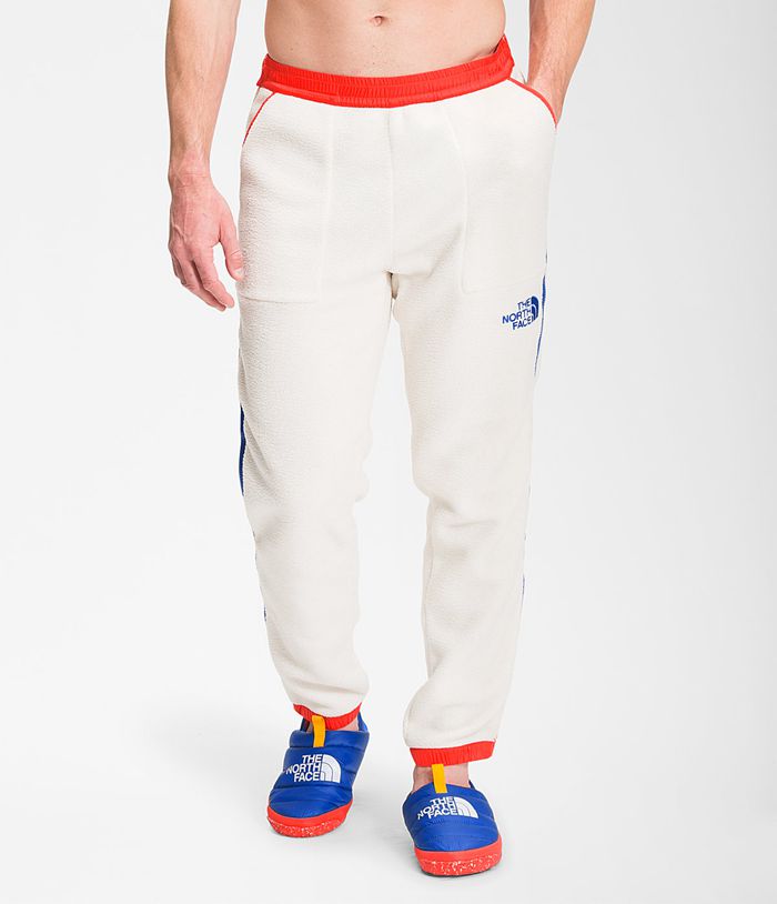 The North Face Broek Heren Colorblock Fleece Jogger TMAL08512 - Wit